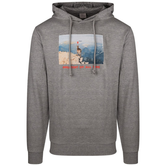 JACK & JONES Γκρι Hoodie - 12156503