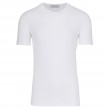 TRUSSARDI JEANS Λευκό T-Shirt C Neck - 352T00499-1T003614