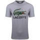 Lacoste Γκρι T-shirt - 3TH1285