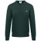 Lacoste Πράσινο Πουλόβερ C Neck - 3AH1985