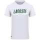 Lacoste Λευκό T-shirt C Neck - 3TH8916