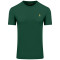 Polo Ralph Lauren Πράσινο T-shirt C Neck - 710671438461