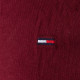 TOMMY JEANS Μπορντό T-shirt C Neck - DM0DM04411