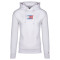 Tommy Hilfiger Λευκό Hoodie Essential Graphic - DM0DM15006
