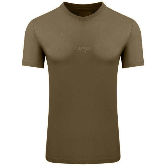 GUESS Λαδί T-shirt C Neck - GU0APM2YI72I3Z140000