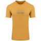GUESS Κίτρινο T-shirt C Neck - GU0APM3RI11J13140000