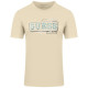 GUESS Κίτρινο T-shirt C Neck - GU0APM4GI26J13140000