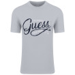 GUESS Γκρι T-shirt C Neck - GU0APM5RI17J13140000