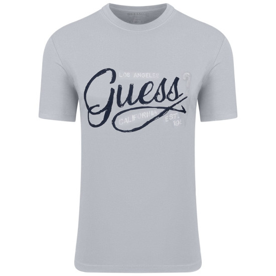 GUESS Γκρι T-shirt C Neck - GU0APM5RI17J13140000