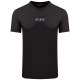 GUESS Μαύρο T-shirt C Neck - GU0APM4BI05K9RM10000