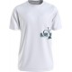 Calvin Klein Λευκό T-shirt Crew Neck - J30J324019