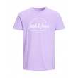 Jack and Jones Λιλά T-shirt C Neck - 12199620