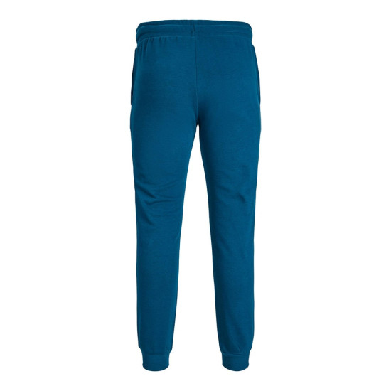 Jack and Jones Μπλε Παντελόνι Φόρμας - 12236876