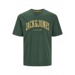 Jack and Jones Πράσινο T-shirt C-Neck - 12236514