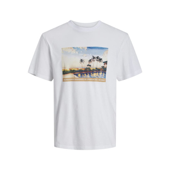 Jack and Jones Λευκό T-shirt C Neck - 12253679