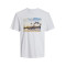 Jack and Jones Λευκό T-shirt C Neck - 12253679