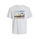Jack and Jones Λευκό T-shirt C Neck - 12253679