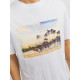 Jack and Jones Λευκό T-shirt C Neck - 12253679