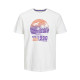 Jack and Jones Λευκό T-shirt C Neck - 12221927