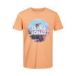 Jack and Jones Πορτοκαλί T-shirt C Neck - 12221007