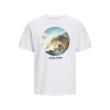 Jack and Jones Λευκό T-shirt C Neck - 12247798