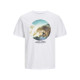 Jack and Jones Λευκό T-shirt C Neck - 12247798
