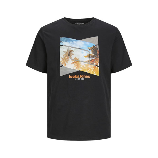 Jack and Jones Μαύρο T-shirt C Neck - 12247798