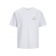 Jack and Jones Λευκό T-shirt - 12253380