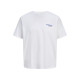 Jack and Jones Λευκό T-shirt C Neck - 12288091