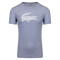 Lacoste Γκρι T-shirt - 3TH2042