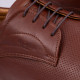 Boss Shoes Ταμπά Derby 100% Leather - B201