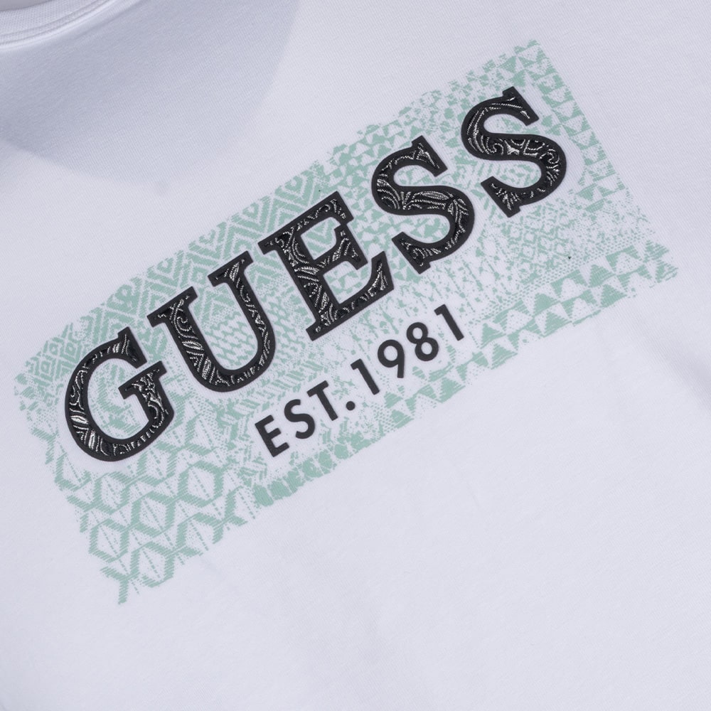 GUESS Λευκό T-shirt C Neck - GU0APM5GI19J13140000
