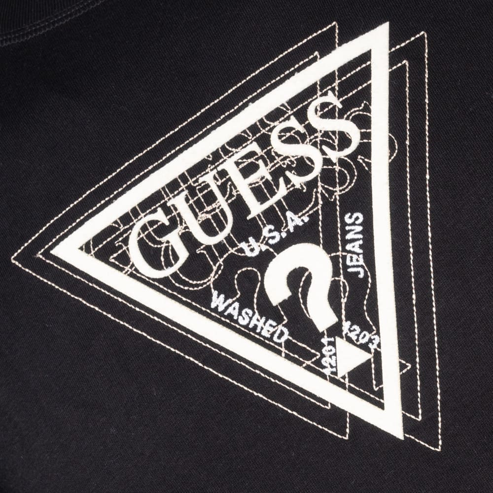 GUESS Μαύρο T-shirt C Neck - GU0APM6RI23K8FQ40000