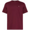 Calvin Klein Μπορντό T-shirt C Neck - LV040HM265