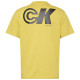 Calvin Klein Κίτρινο T-shirt C Neck - LV04RC835G