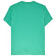 Tommy Jeans Πράσινο T-shirt C Neck - DM0DM22504