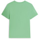 Tommy Hilfiger Πράσινο T-shirt C Neck - MW0MW43224
