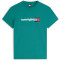 Tommy Jeans Πράσινο T-shirt C Neck - DM0DM23406