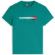 Tommy Jeans Πράσινο T-shirt C Neck - DM0DM23406