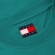 Tommy Jeans Πράσινο T-shirt C Neck - DM0DM23406