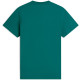 Tommy Jeans Πράσινο T-shirt C Neck - DM0DM22538