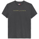 Tommy Jeans Γκρι T-shirt C Neck - DM0DM20744